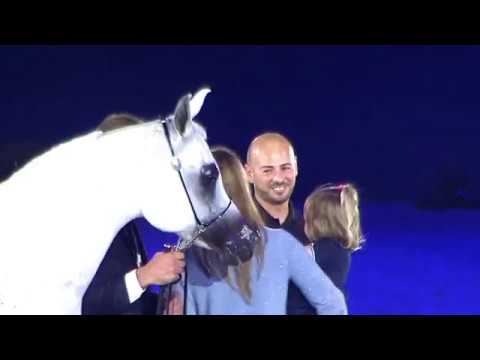 Memories of Aachen 2019 - All Nations Cup - Part 14 - Championship -  Senior Mares