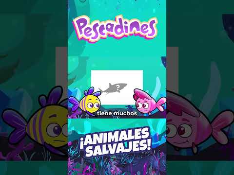 ¿Cuál es?