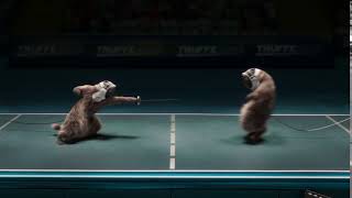 Les Marmottes font de l'escrime