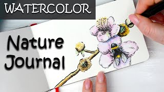 More Nature Journaling - Watercolor Sketching Blackberry Brambles, Cornflowers and Bees