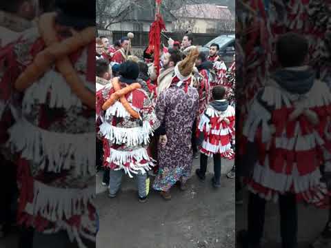 Tomesti si Goruni 2019
