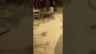preview picture of video 'SDO बिजली V D Yadav Allahabad की शर्मनाक करतूत'