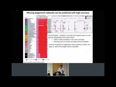 Jason Ernst | Computational Approaches for Understanding the Non-coding Human Genome | CGSI 2019