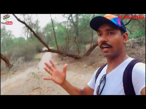 download lagu mp3 mp4 Buddha Jayanti Park Nearest Metro Station, download lagu Buddha Jayanti Park Nearest Metro Station gratis, unduh video klip Buddha Jayanti Park Nearest Metro Station