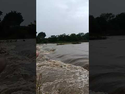 Não consegui atravessar a ponte molhada em Rosário do Ivaí-PR
