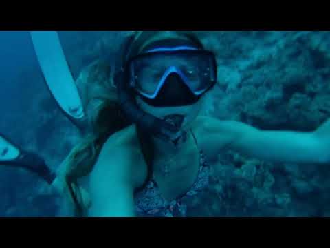 Sexy Girl Snorkeling Snorkel In Mouth Underwater