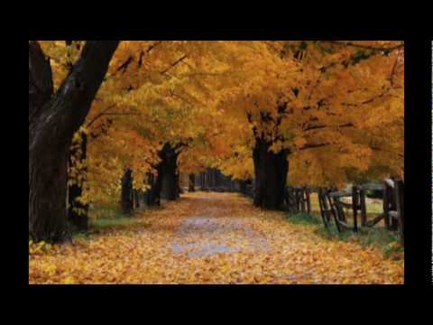 Qwartz - Te tin acolo