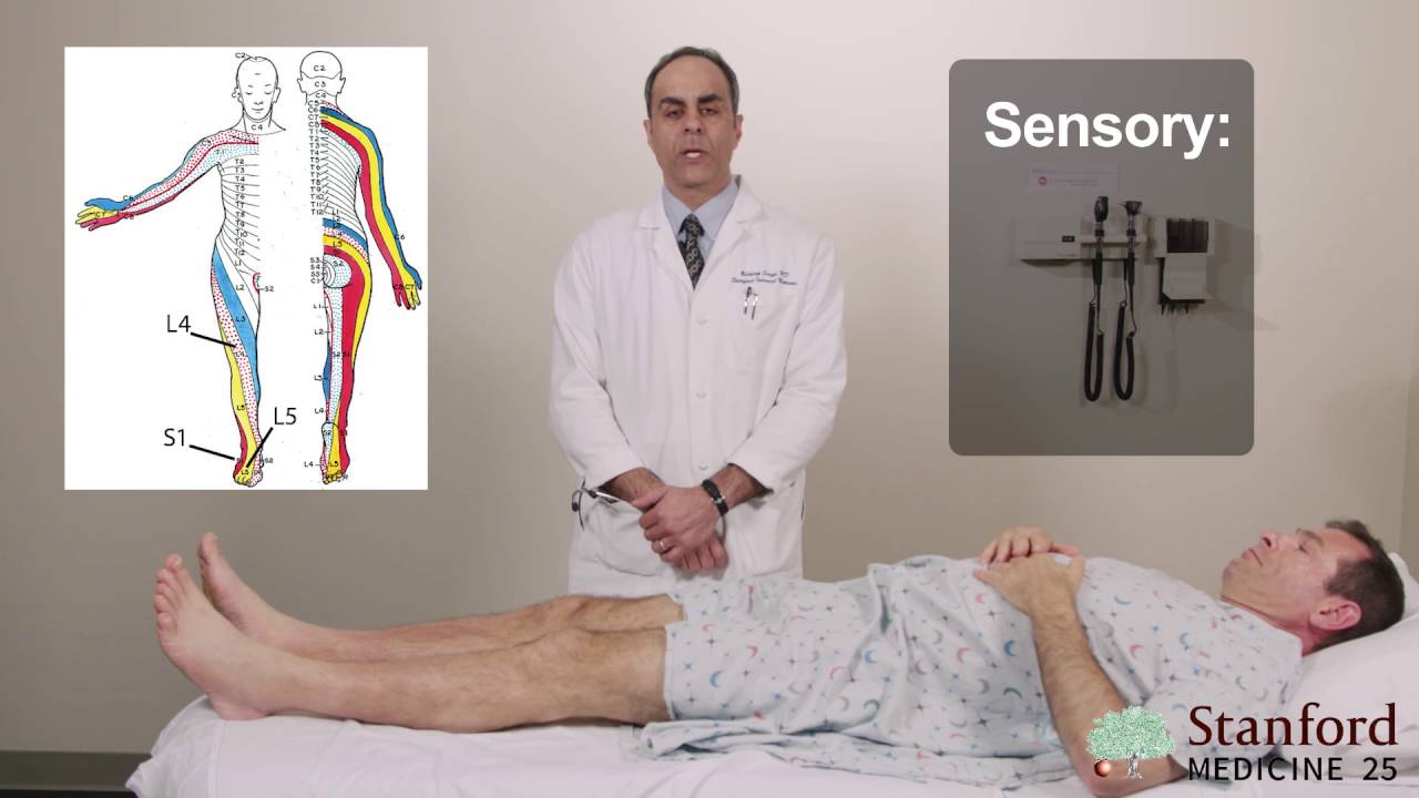 Approach to Low Back Pain Physical Exam - Stanford Medicine 25