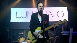 Luna Halo - The Fool