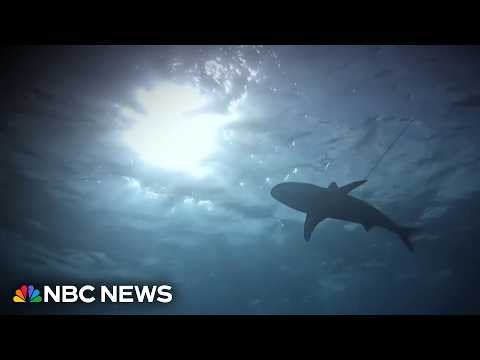 12-year-old boy saved by brother after shark attack in the Bahamas