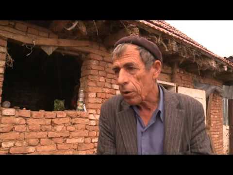 15 lopë të ngordhura nga sëmundja gungore e lëkurës në Ferizaj 7 SHTATOR 2016 RTV TEMA