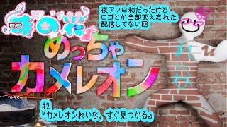 【めっちゃカメレオン】夜アソ日和だったけど全部変え忘れたカメレオン #2【かくれんぼ】