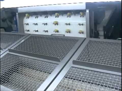 Potato and Carrot processing line Groot