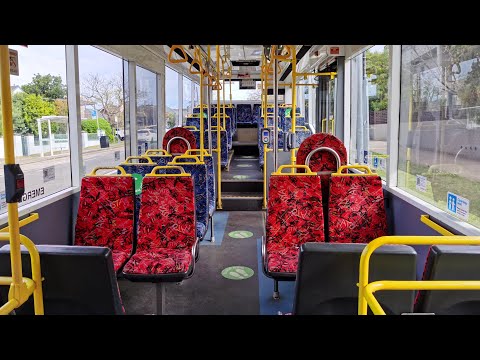 20210926 TSA Leichhardt M/O 3797 - Scania L113CRL Ansair Orana