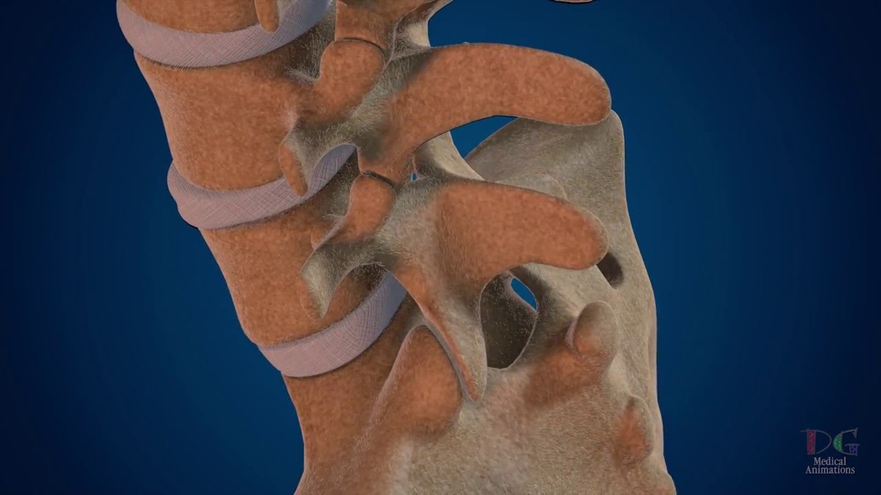 Lisandro Chiavassa-11