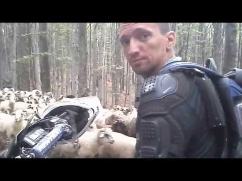 silviu off road moto oile 22iun2013