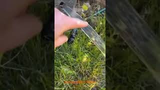 streamline flow| mechanical properties of fluid| by Ravi Mishra