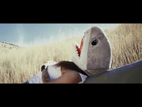 Owls & Aliens - You Can't Save Everyone (Official Music Video)