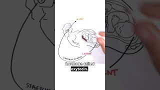 Download lagu One Step in a Bigger Journey #labour #pregnancyeducation #childbirthstory mp3 Download lagu One Step in a Bigger Journey #labour #pregnancyeducation #childbirthstory mp3