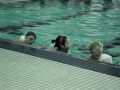 Swimming Lessons At The YMCA