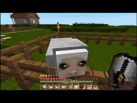 Let's Play Minecraft #049 [Hardcore] [Deutsch] [HD] - Süße Babyschweine