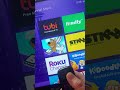 Roku Developer Options