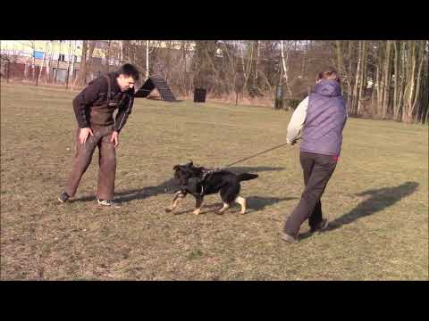 Santo z Jukasu - protection - 5 months