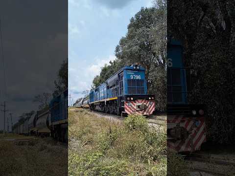 ¡Belgrano Cargas partiendo del puerto en busca de nueva carga! - Enero 2025
