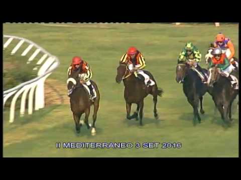 Galoppo e Trotto Corse del 3 Settembre 2016