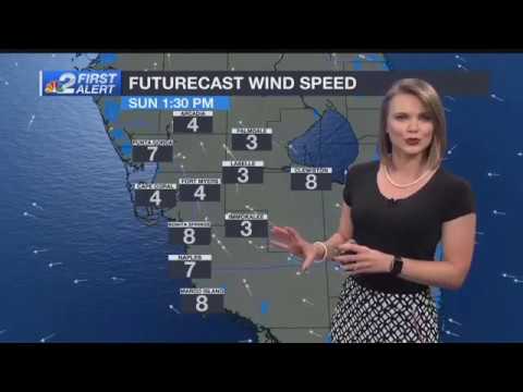 March 29, 2019 Forecast