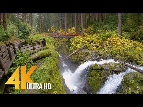 4K Virtual Hike - Amazing Nature Scenery with Soothing Music - Sol Duc Falls Nature Trail