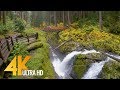 4K Virtual Hike - Amazing Nature Scenery with Soothing Music - Sol Duc Falls Nature Trail