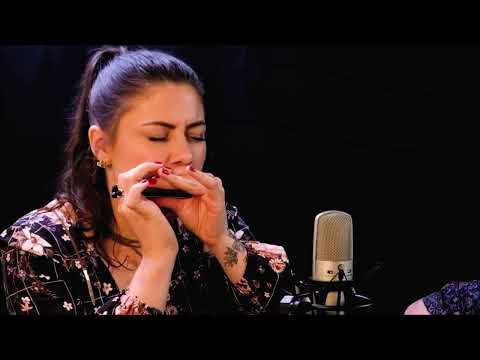 Harmonica Blues by Indiara Sfair - Parte 1 (https://www.youtube.com/@IndiaraSfair)