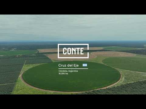 Conte - Cruz del Eje 16.395 ha