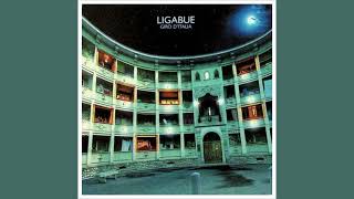 Ligabue - Nato per me (Versione acustica remastered) - HQ