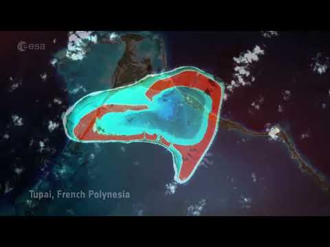 See Earth's 'heart-shaped' islands from space for Valentines Day