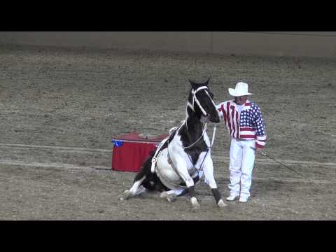 Tommie Turvey & Jokers Wild - Night of the Horse - Del Mar National Horse Show 2013
