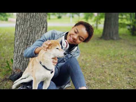 More Than video/presentation/materials