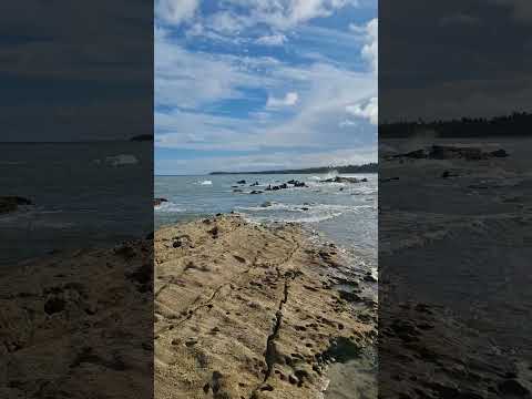 às beleza de japaratinga alagoas