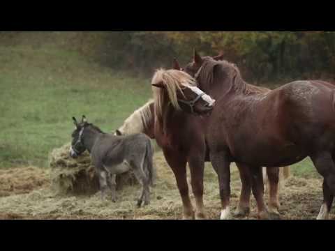 Envicentrum pro Krajinu Vysoké pole