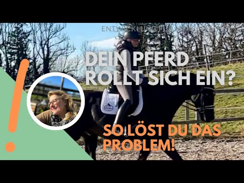 Dein Pferd rollt sich ein? | so löst Du das Problem