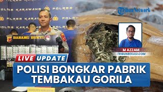 Polisi Gerebek Home Industry Narkotika di Karawang, Temukan Barbuk 100 Gram Tembakau Gorila