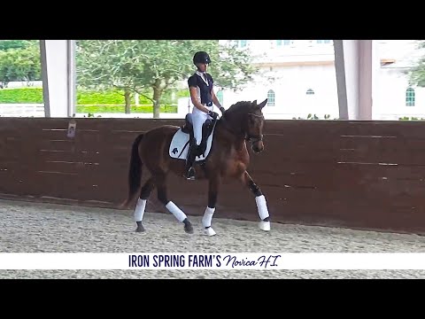 Iron Spring Farm's Noviça HI, December 2020