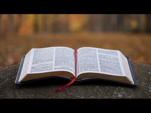 Duminica dimineata - 13 octombrie 2019