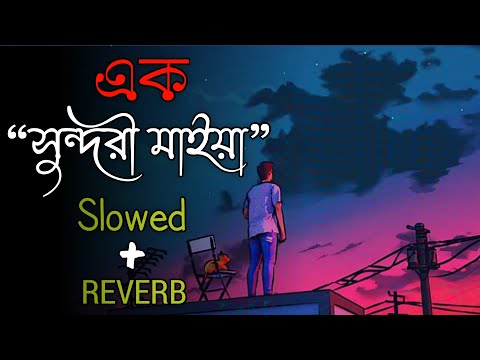 Ek Sundori Maiyaa [Slowed+ Reverb]😌 Ankur Mahamud Feat Jisan Khan Lofi songs...