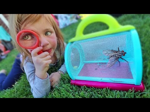 image-What is a bug catcher called?