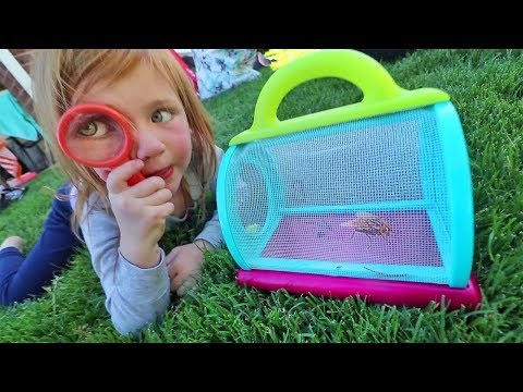 Mystery Bug Catching in the Backyard!! FAMILY POOL PARTY with new toys! Video