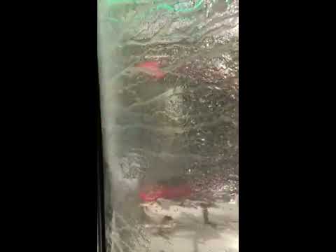 PrimeWash Express Car Wash Light Show