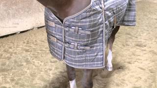 preview picture of video 'Highland Stable Blanket'