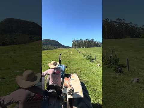 Dona Emma - Santa Catarina